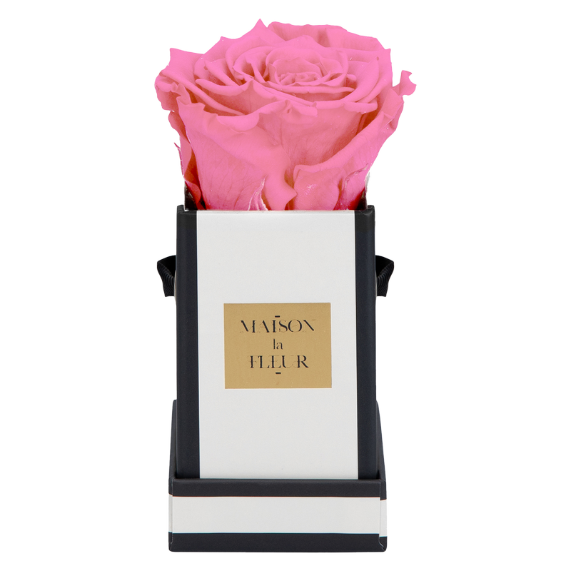 Maison La Fleur Flawless Classic Premium Preserved Pink Rose 1ct