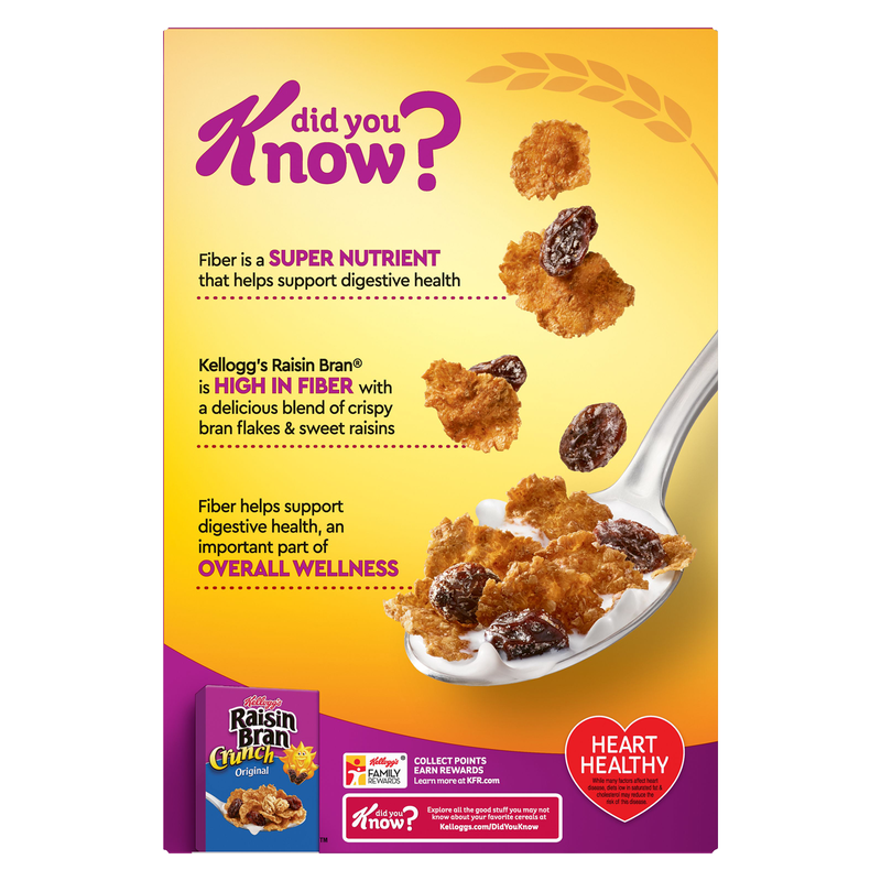 Kellogg's Original Raisin Bran Cereal 16.6oz