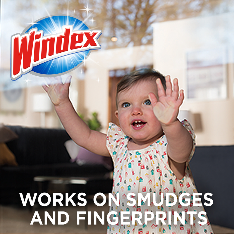 Windex Glass Cleaner Wipes 38ct