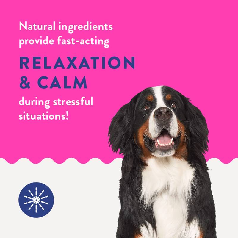 Chou2 Pharma Chill Calming Oil for Dogs