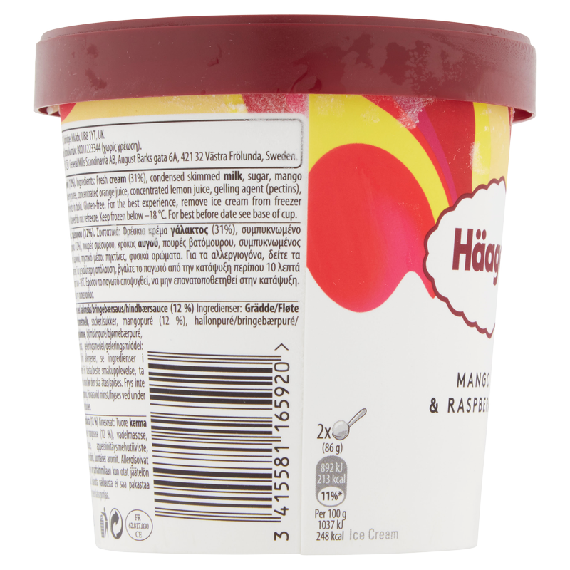 Haagen-Dazs Mango & Raspberry, 460ml