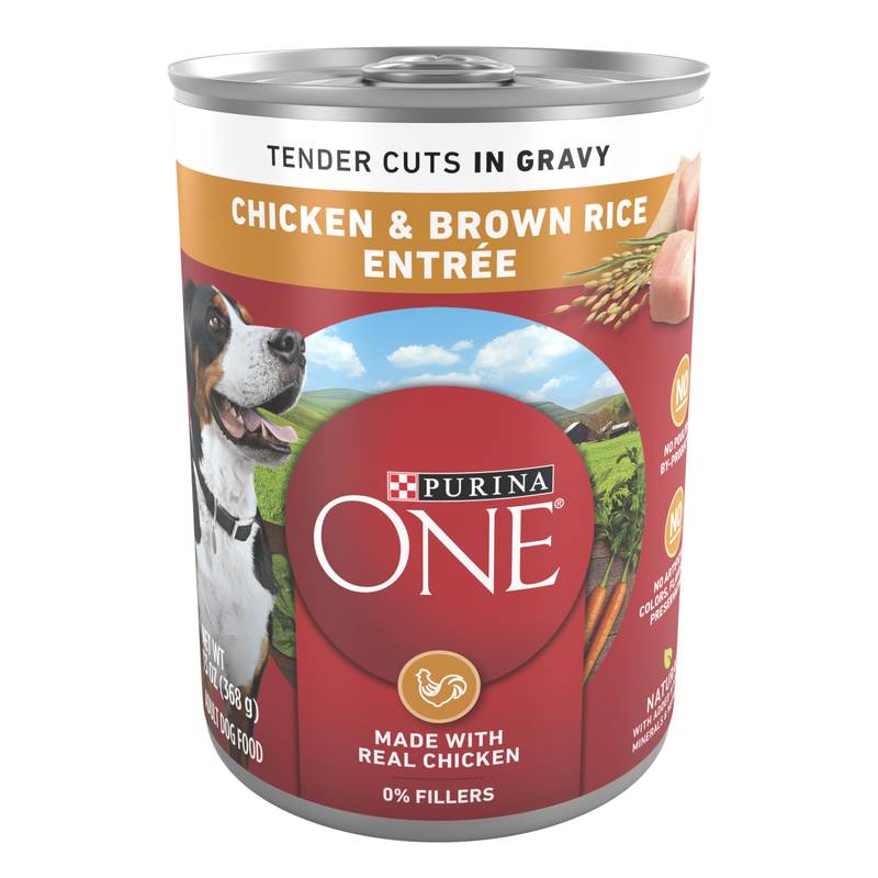 Purina ONE Tender Cuts in Gravy Chicken Wet Dog Food 13oz