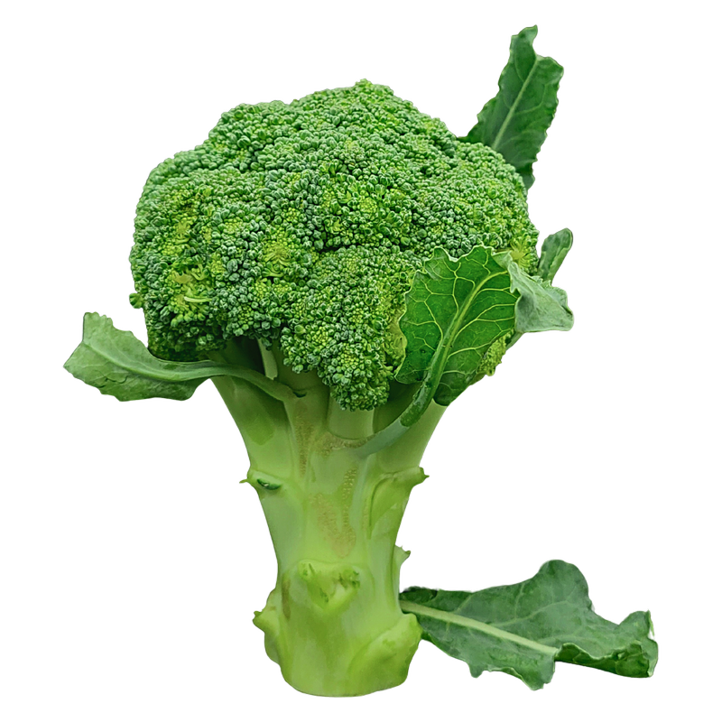 Broccoli, 1pcs