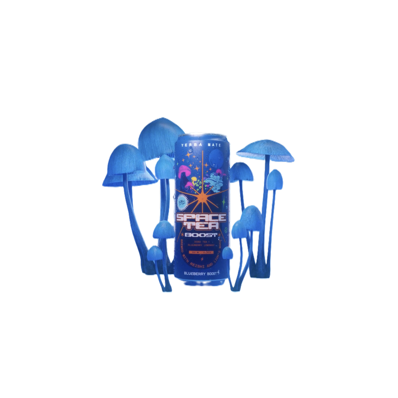 Space Tea - Blueberry Boost