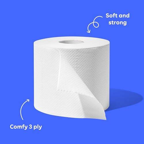 Who Gives a Crap 100% Recycled Double Length Toilet Paper Rolls 4ct