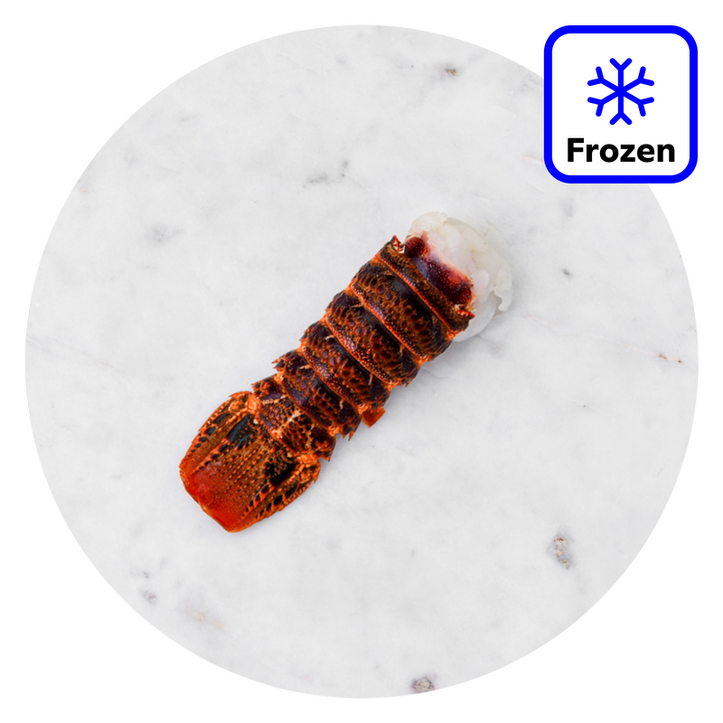 The Fish Society Cold Water Rock Lobster Tail - Frozen, 100g