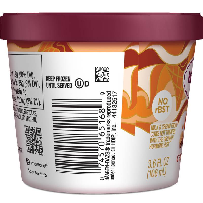 Haagen-Dazs Caramel Cone 3.6oz