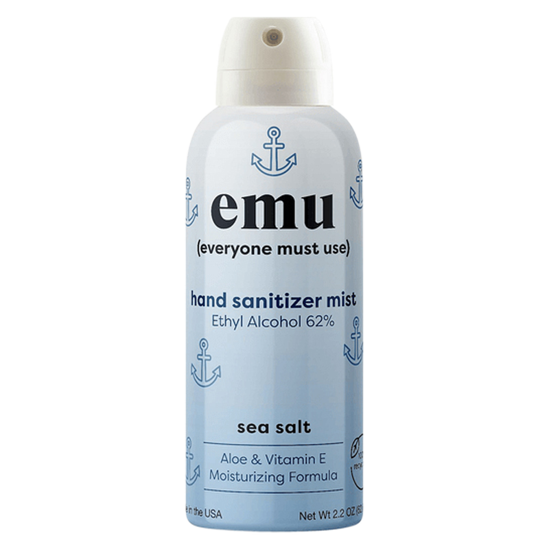 Everybody Must Use Hand Sanitizer Mist Sea Salt (2.2 OZ)