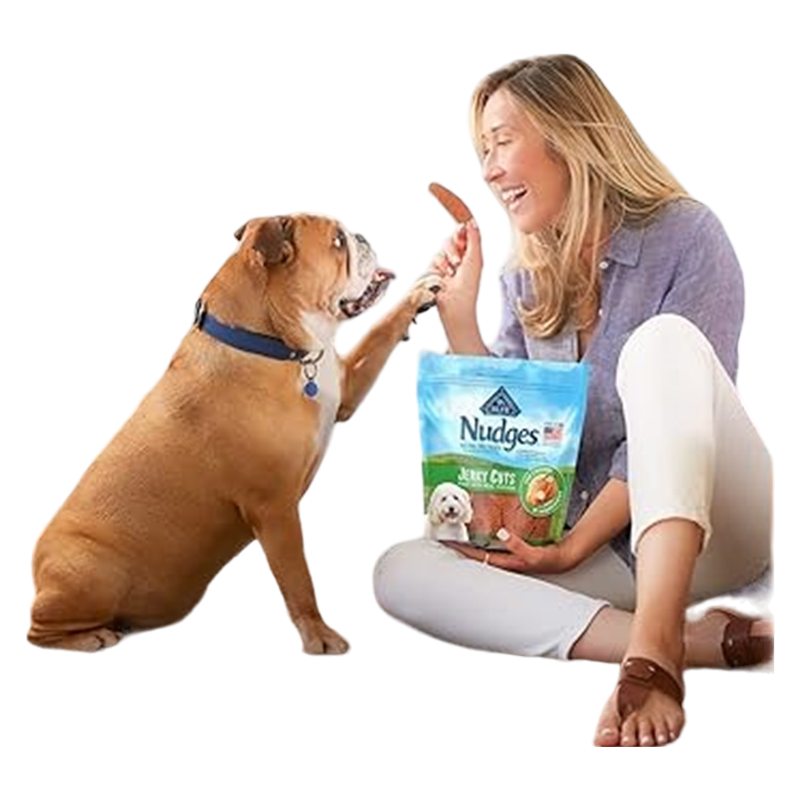 Nudges Grillers Made with Real Steak Natural Dog Treats, 10 Oz