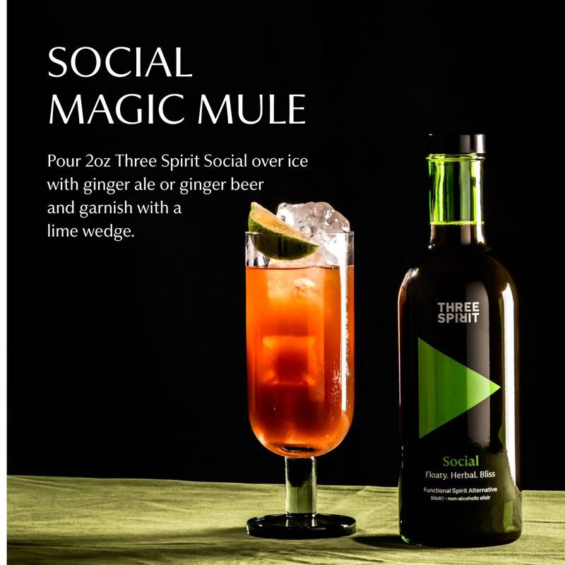 Three Spirit Mocktail social sin alcohol, botella de 16.9 oz