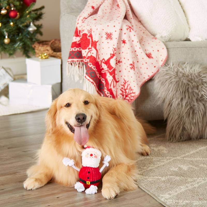 Santa Claus Dog Toy 