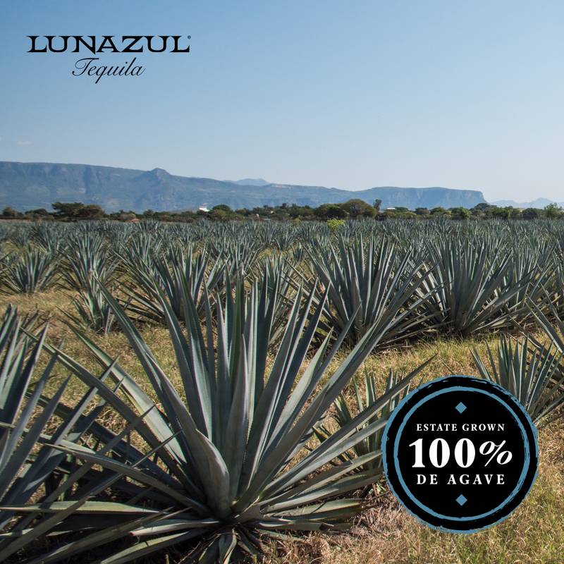 Lunazul Reposado Tequila 1L 