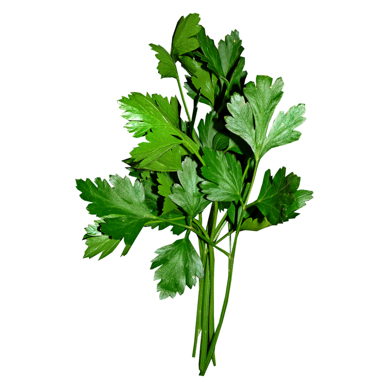 Wholegood Curly Parsley, 30g