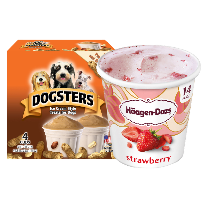 Haagen-Dazs Strawberry Ice Cream Pint/Dogsters Pet Ice Cream Bundle