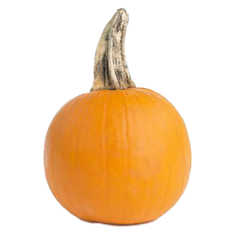 Organic Mini Pumpkin 5in 1ct