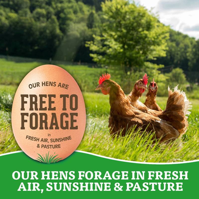 Organic Valley Large Free Range Brown Organic Eggs - 12ct