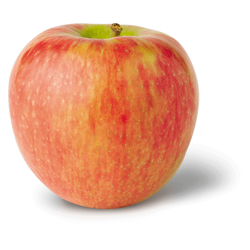 Organic Honeycrisp Apple - 1ct