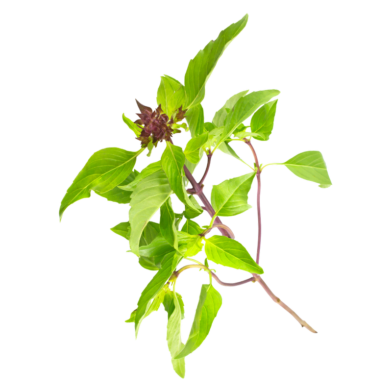 Wholegood Thai Basil, 30g