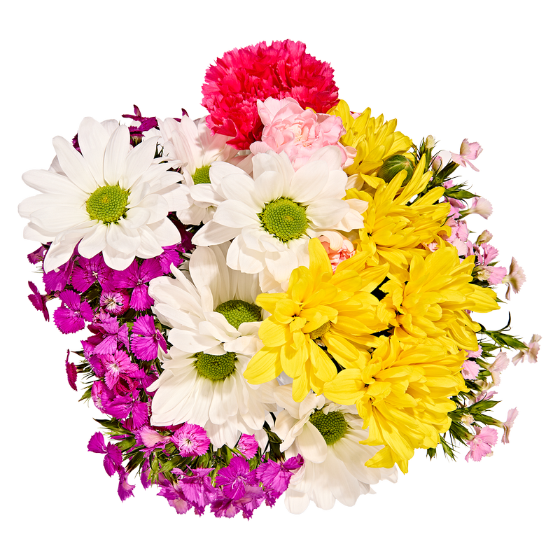 Mother's Day Carnations and Daisies Bouquet