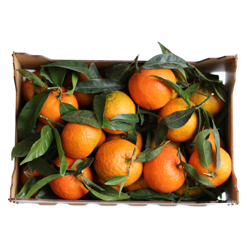 Wholegood Organic Stem-&-Leaf Clementines, 2kg