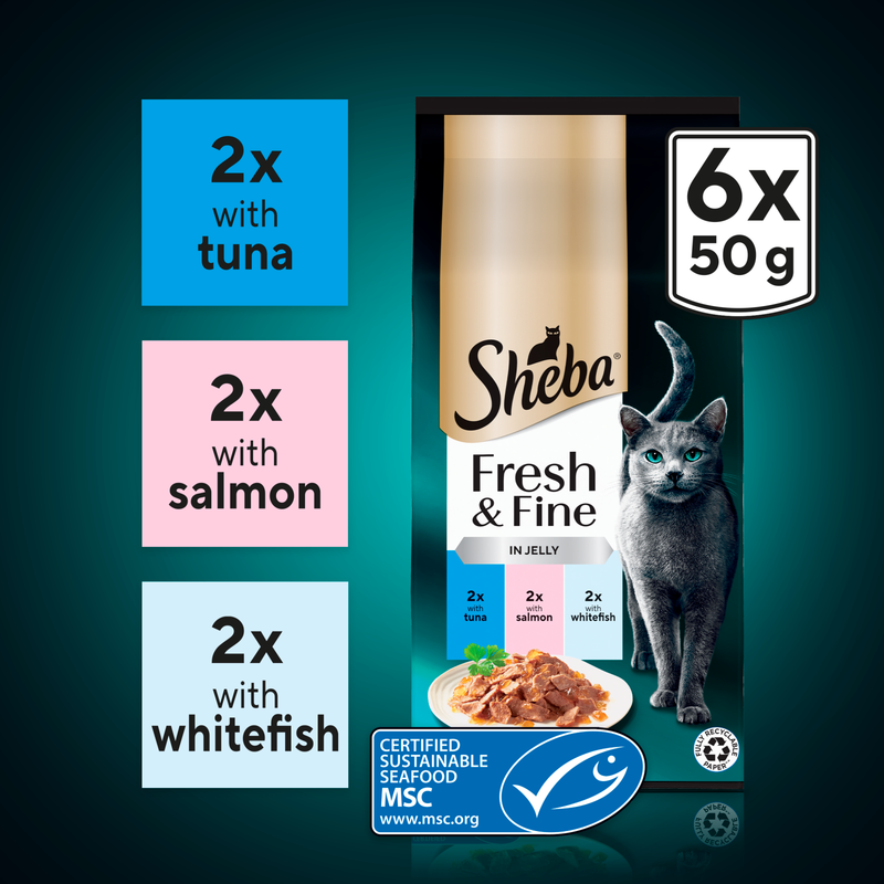 Sheba Fresh & Fine in Jelly, 6 x 50g