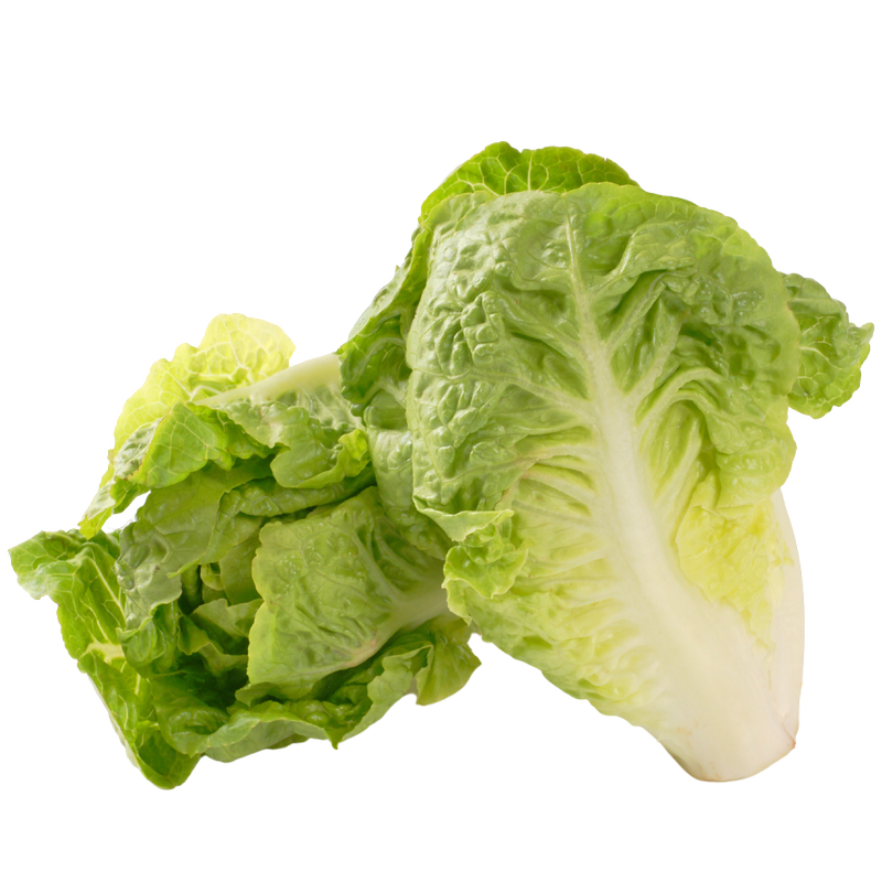 Wholegood Organic Little Gem Lettuce, 2pcs