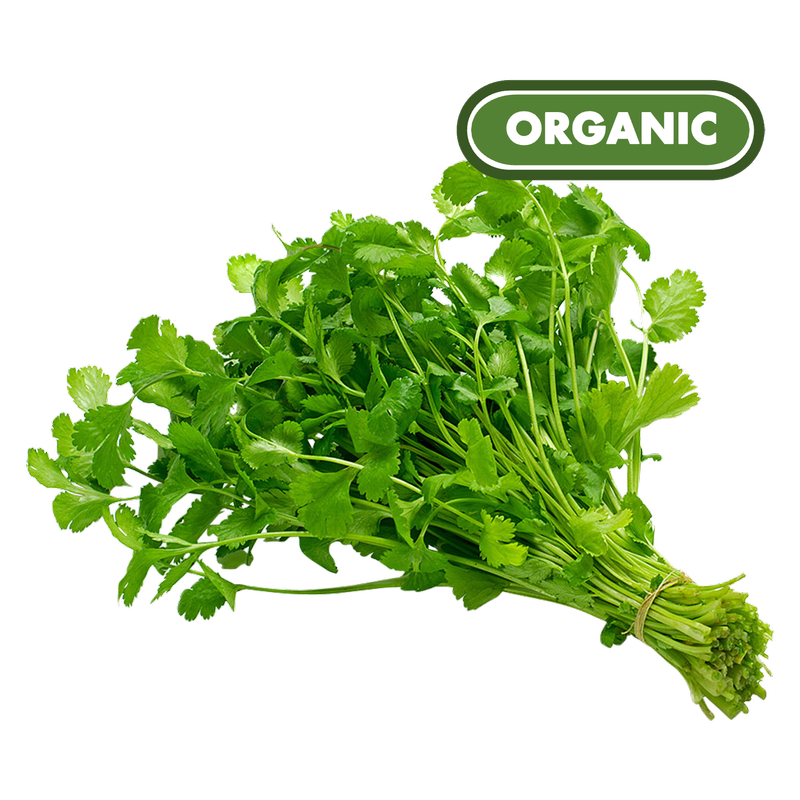 Organic Cilantro - 1ct