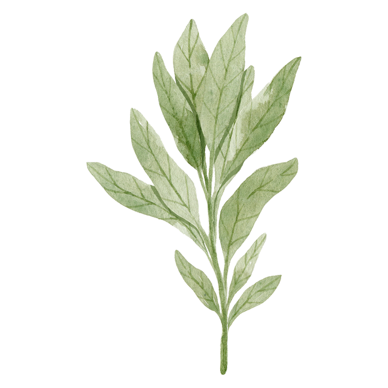 Wholegood Sage, 30g