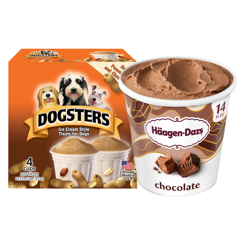 Haagen-Dazs Chocolate Ice Cream Pint/Dogsters Pet Ice Cream Bundle