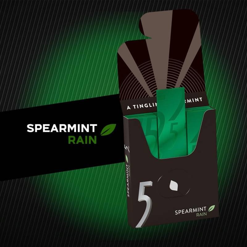 5 GUM Spearmint Rain Sugar Free Chewing Gum case 10 CT