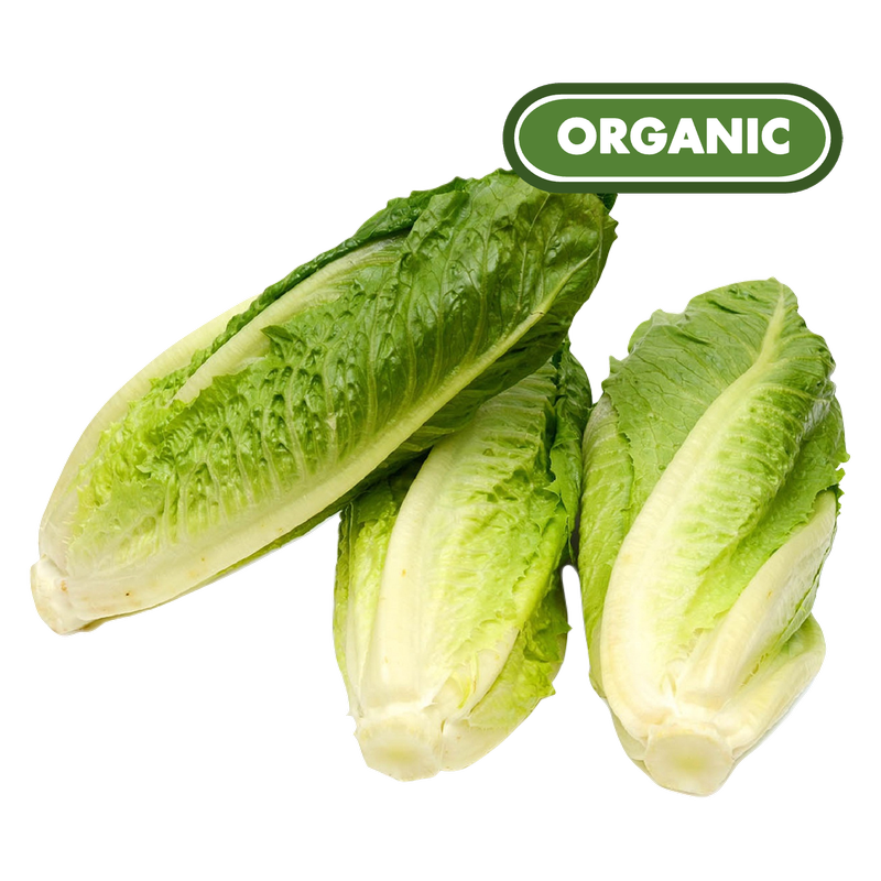 Organic Romaine Lettuce - 3ct 