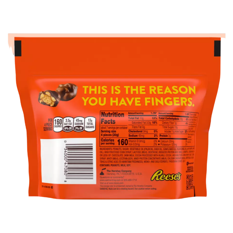 REESE'S Unwrapped Cluster Bites Pouch (Peanut Butter, Caramel & Peanuts Covered In Chocolate), 7 oz