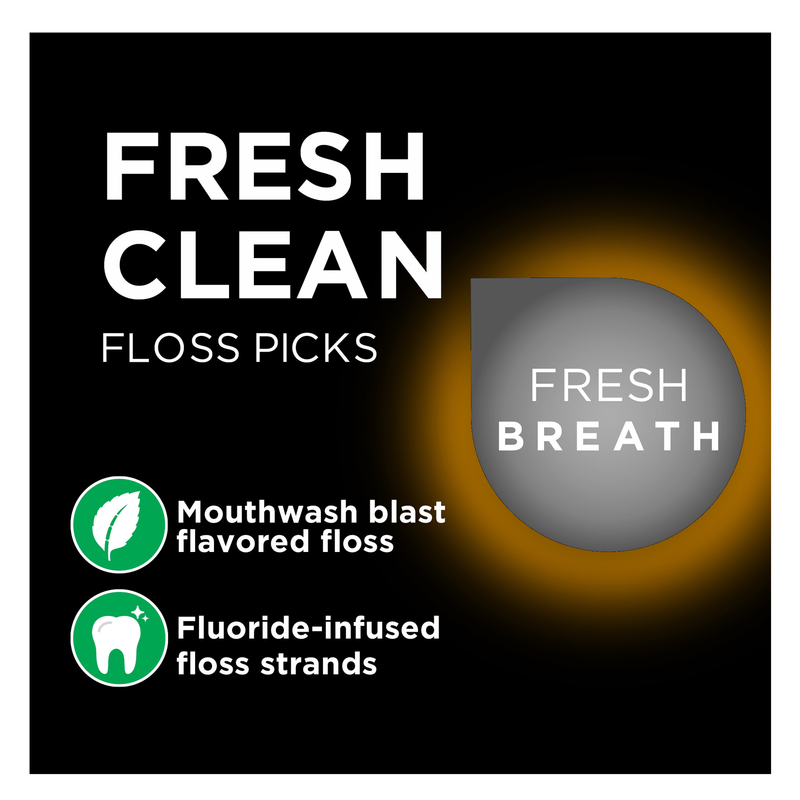 DenTek Fresh Clean Floss Picks 75ct