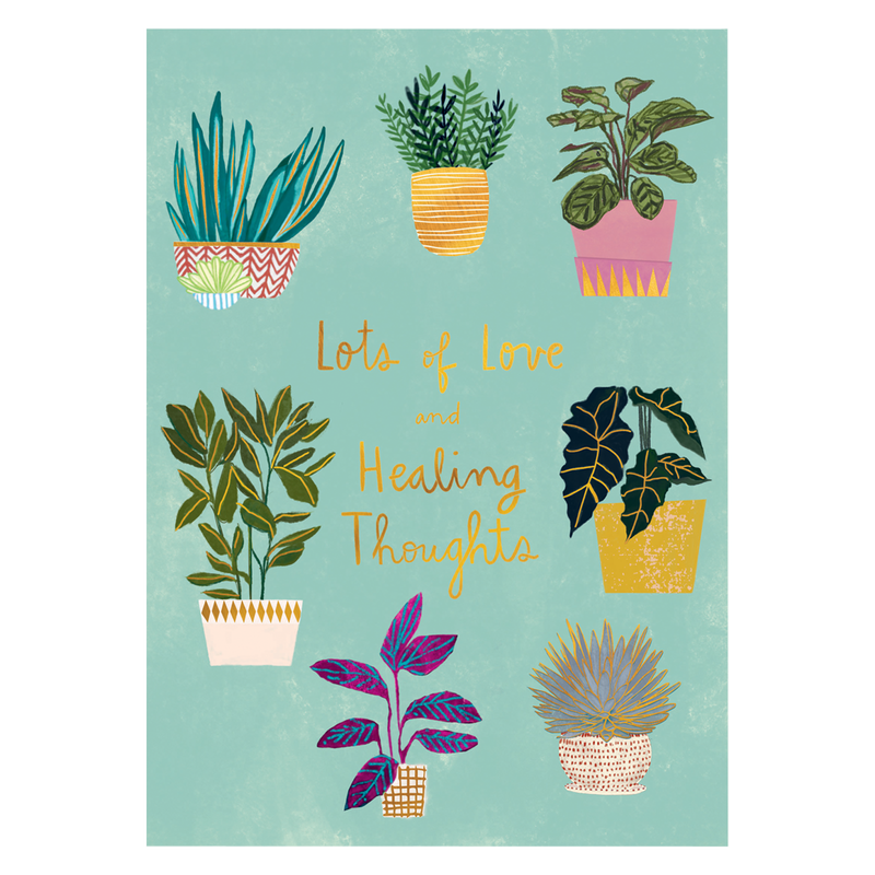 NIQUEA.D "Potted Plants" Get Well Card 5x7 inches
