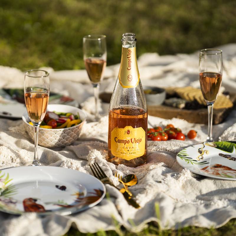 Campo Viejo Cava Brut Rose 750ml