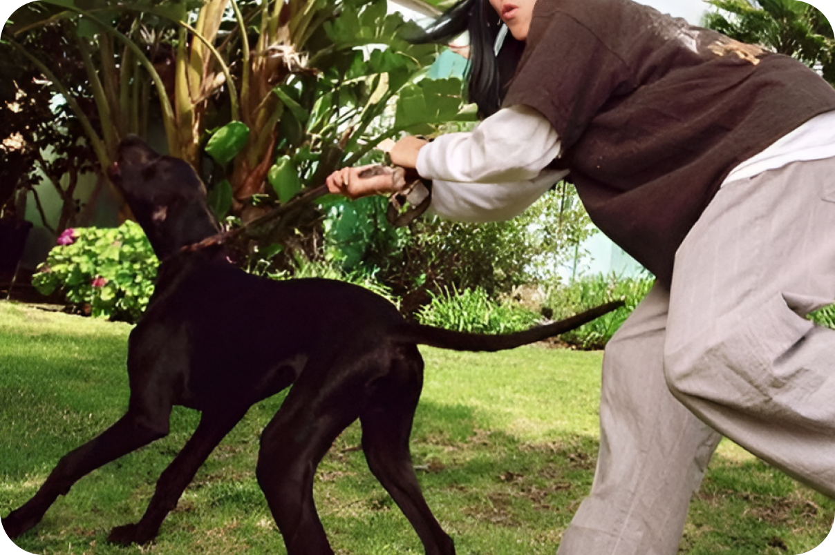 Woman chasing after dog in the park