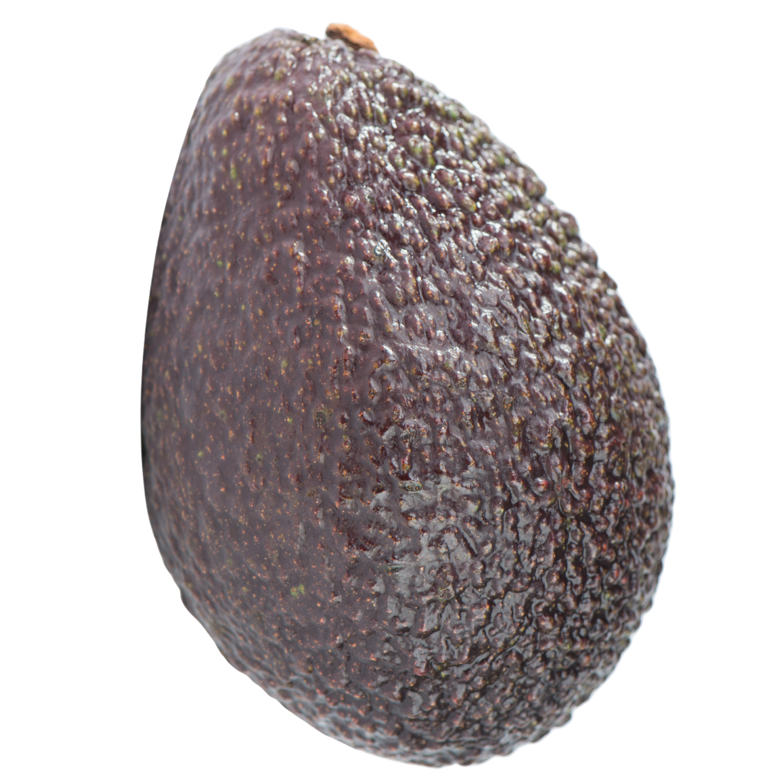 Large Avocado, 1pcs