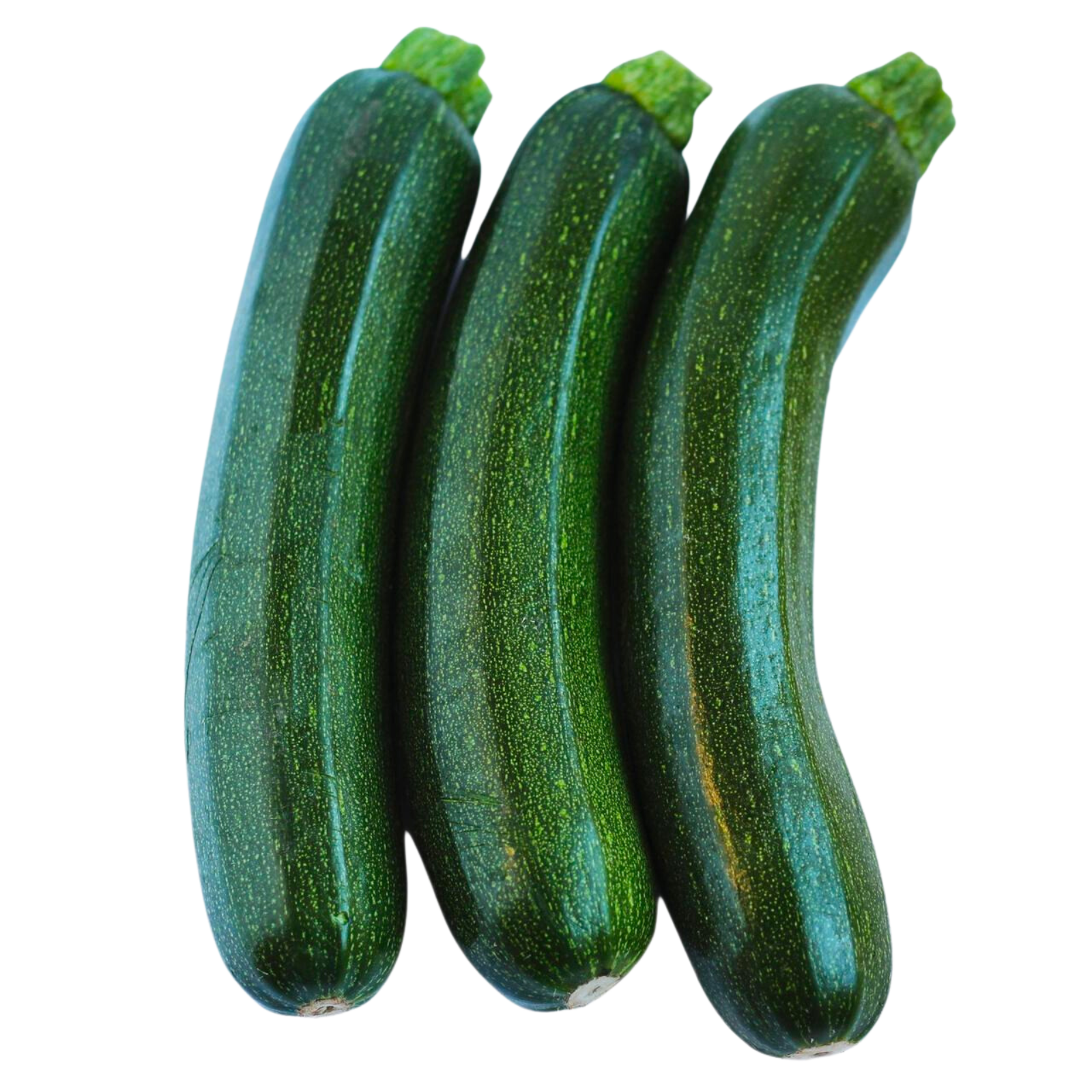 Organic Courgette, 500g