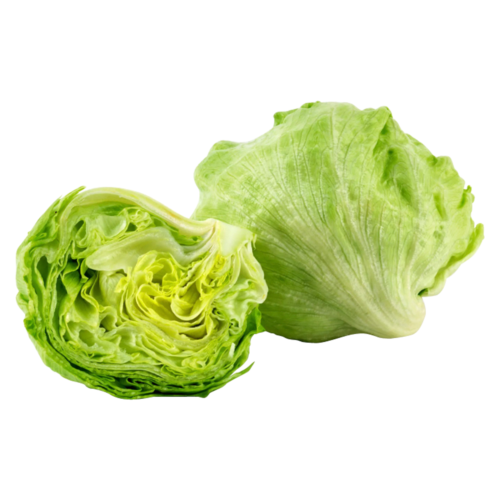 Iceberg Lettuce Head - 1ct