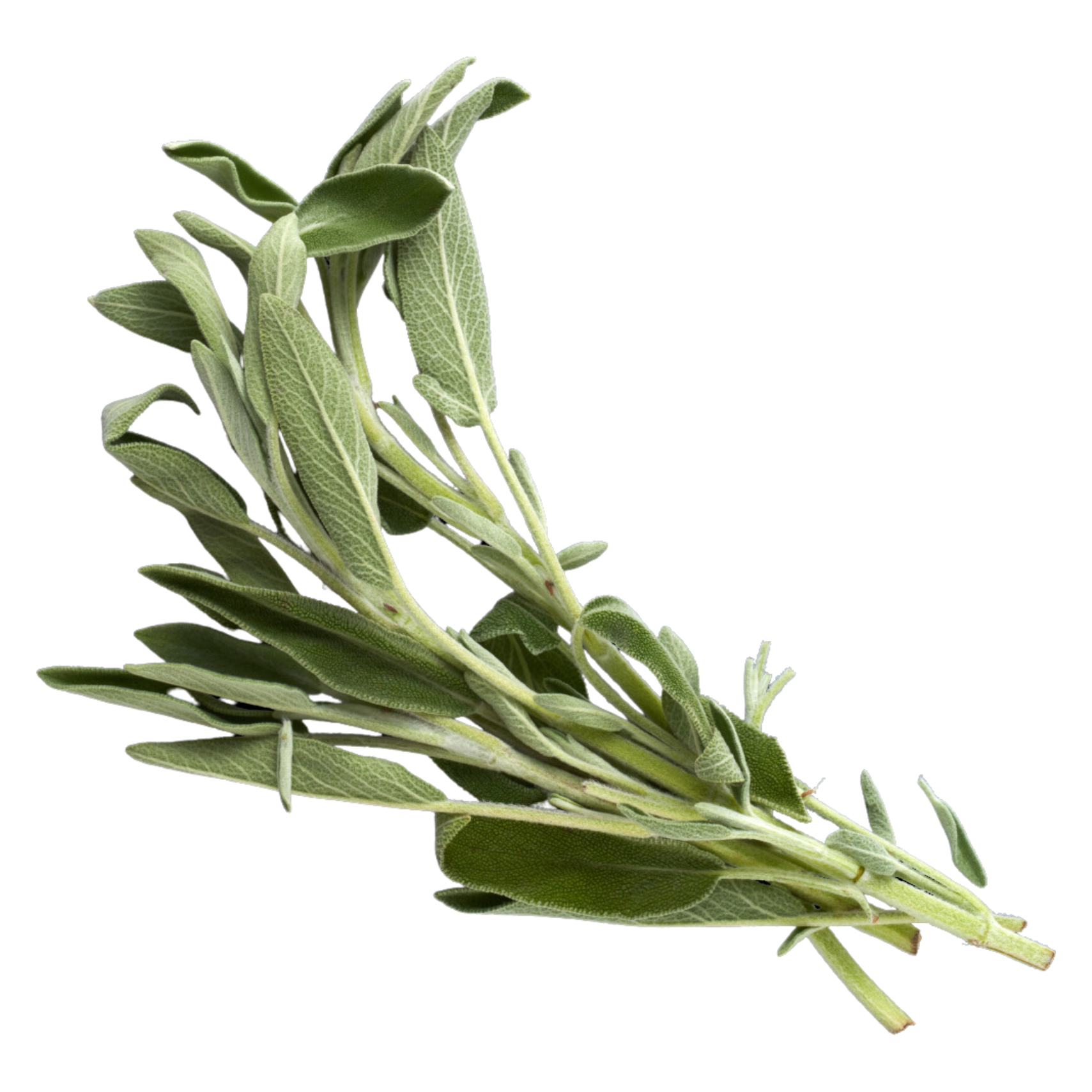 Wholegood Sage, 50g