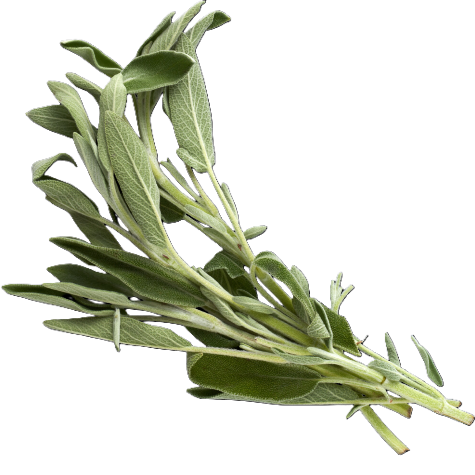 Wholegood Sage, 50g