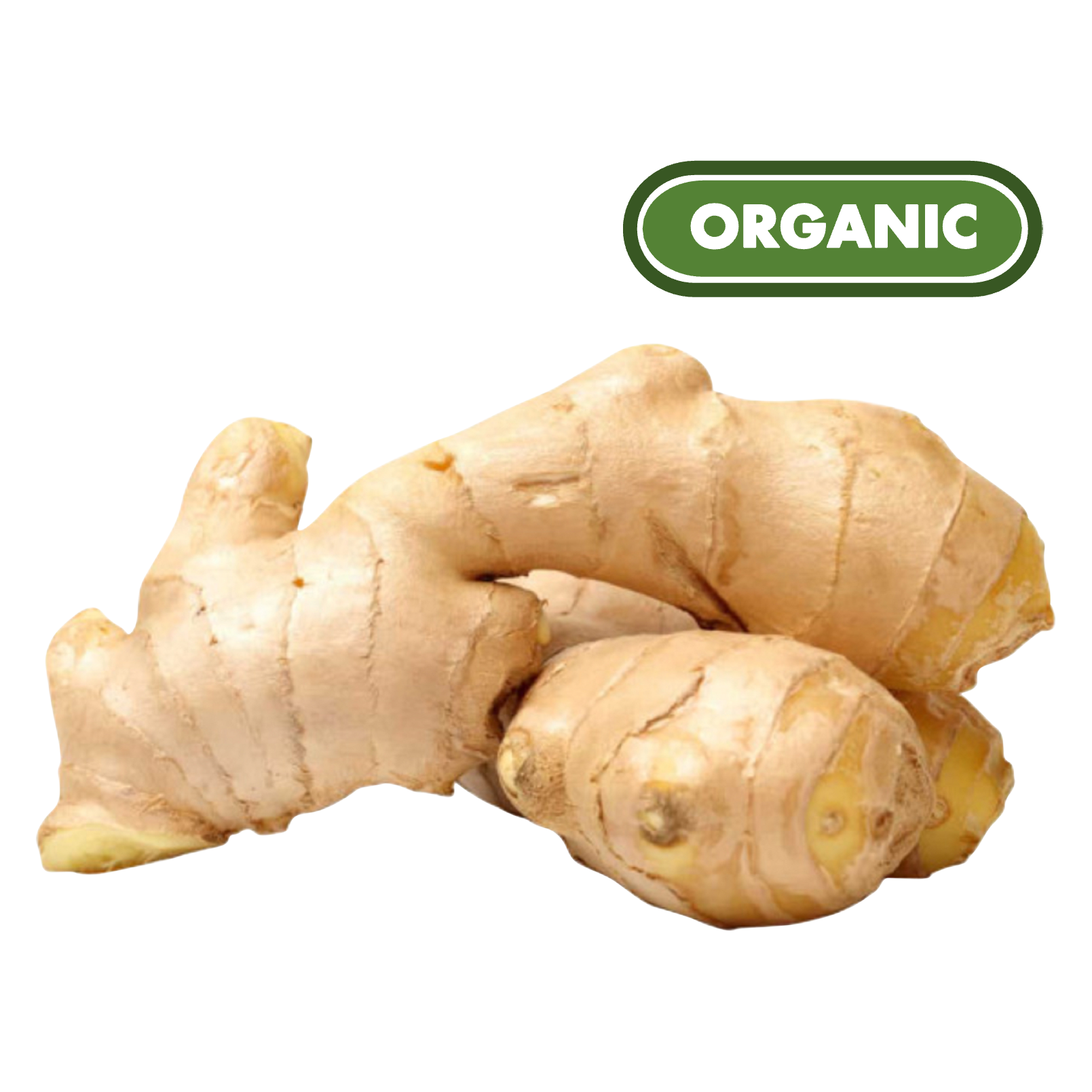 Organic Ginger - 3oz