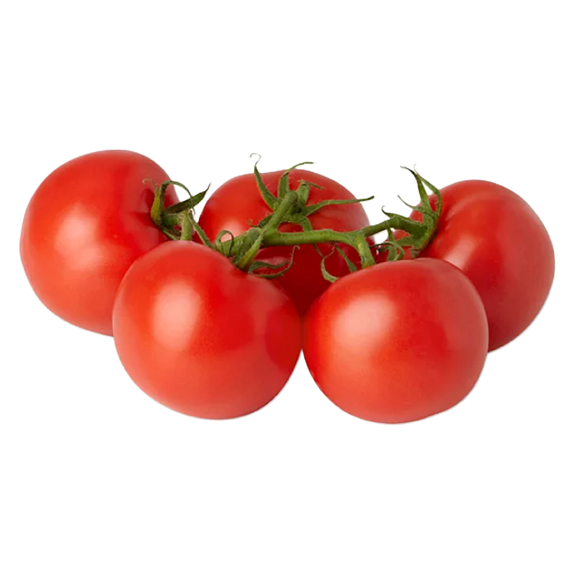 Organic Tomatoes on the Vine - 1lb