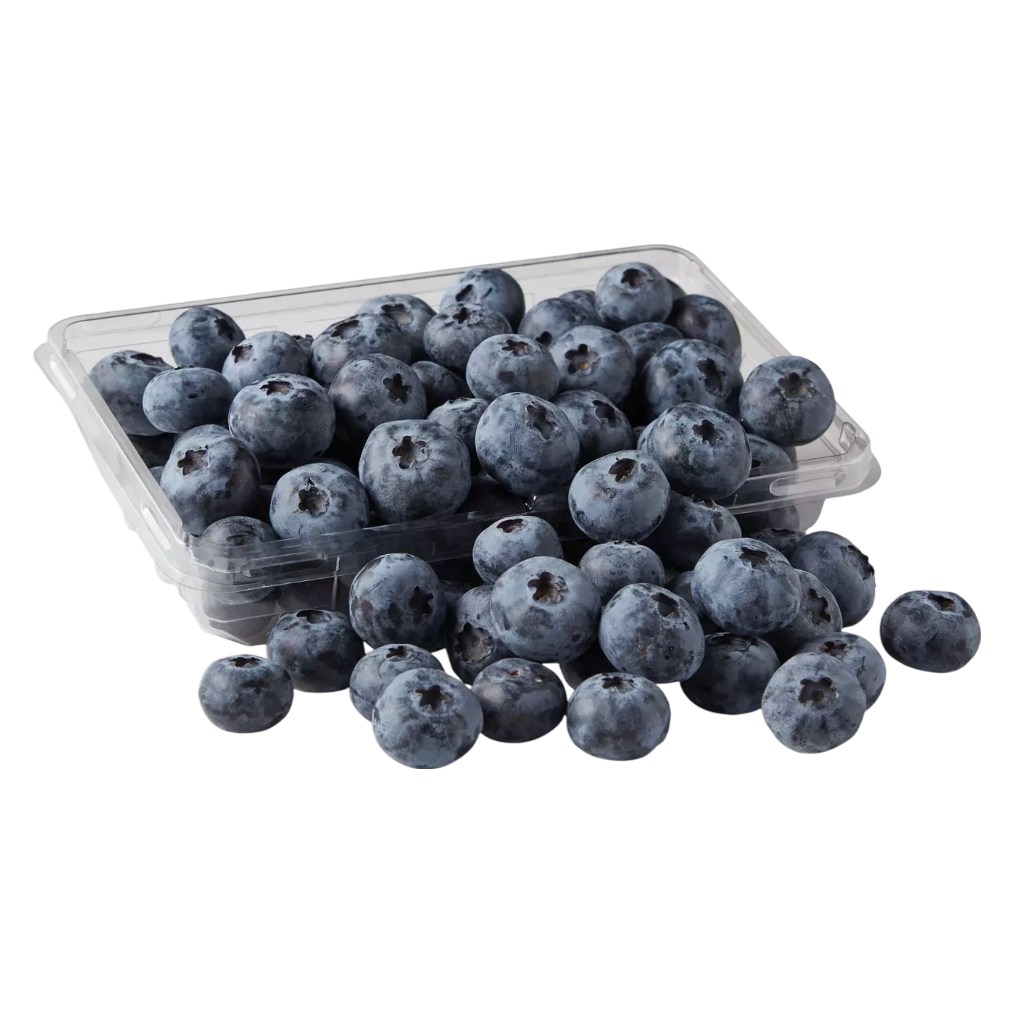 Organic Jumbo Blueberries - 9.8oz