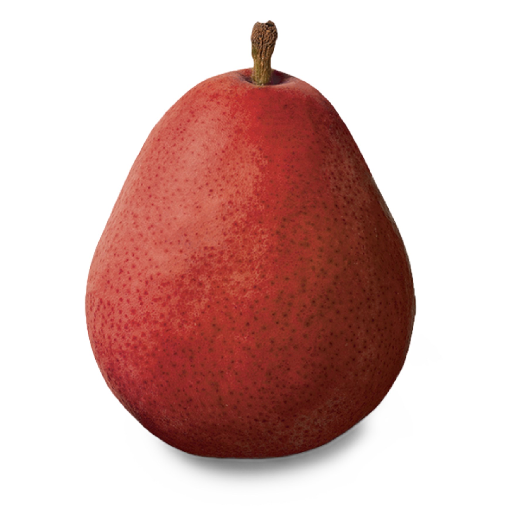 Organic Red D'anjou Pear - 1ct