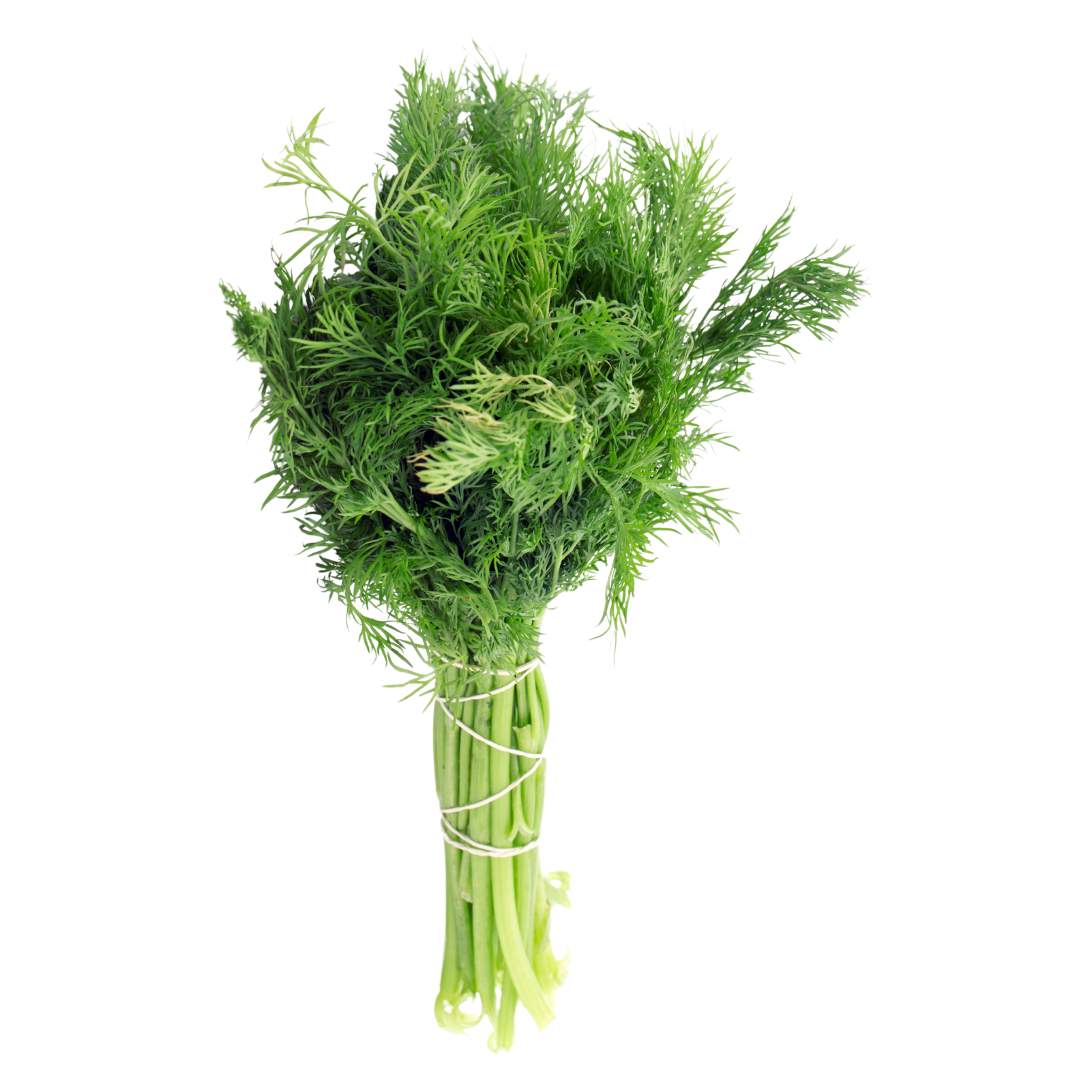 Wholegood Dill, 30g