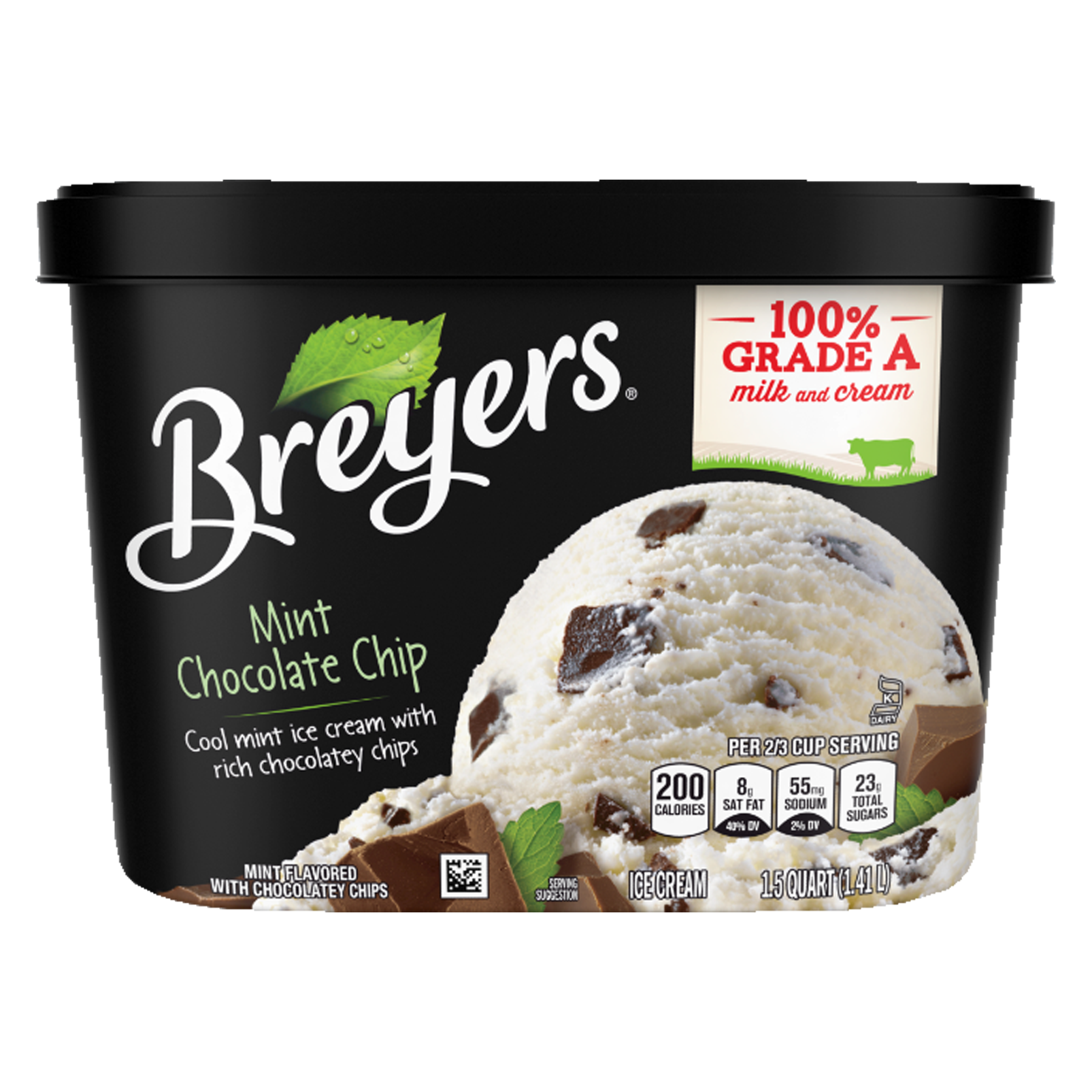 Breyers Mint Chocolate Chip Ice Cream 48oz