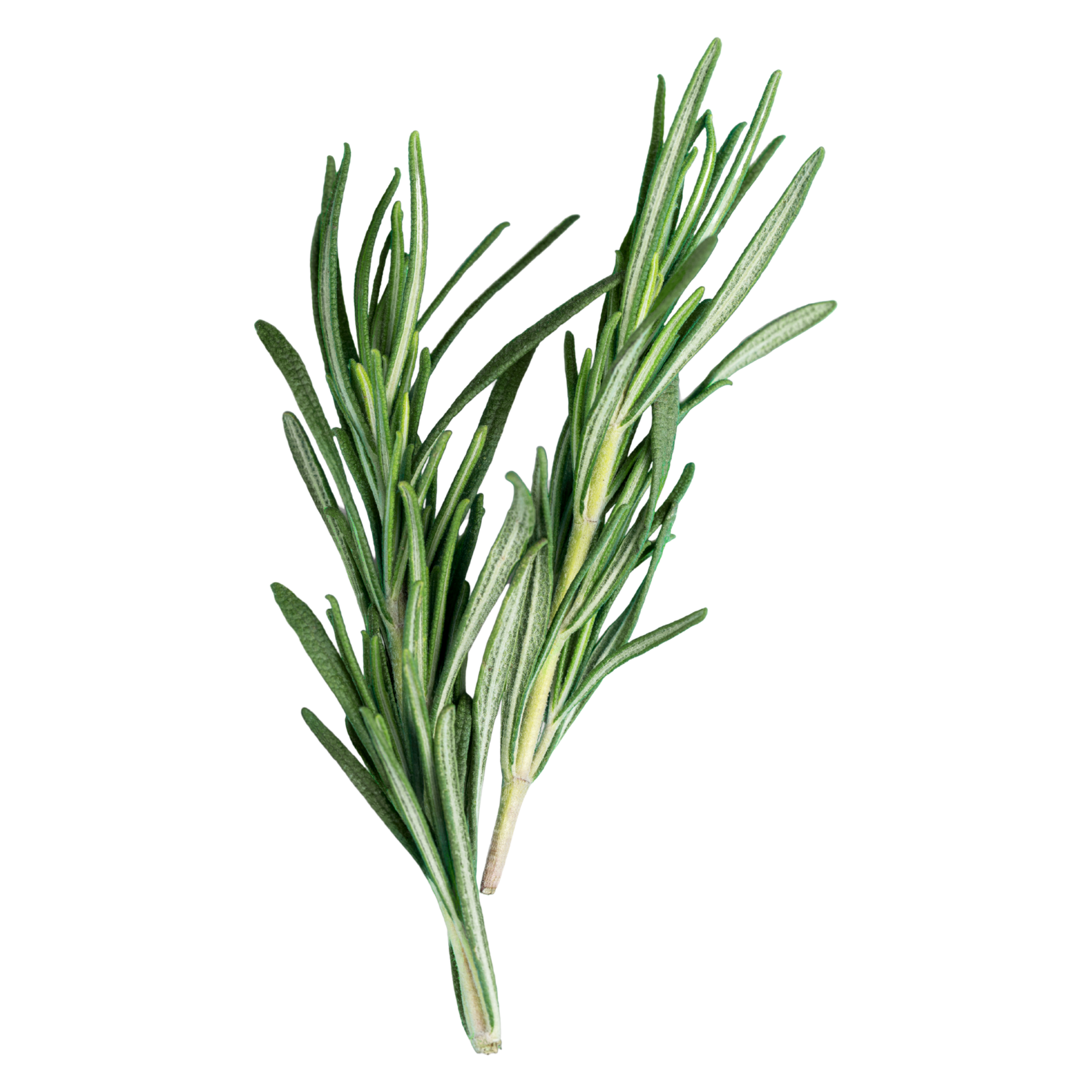 Wholegood Rosemary, 30g