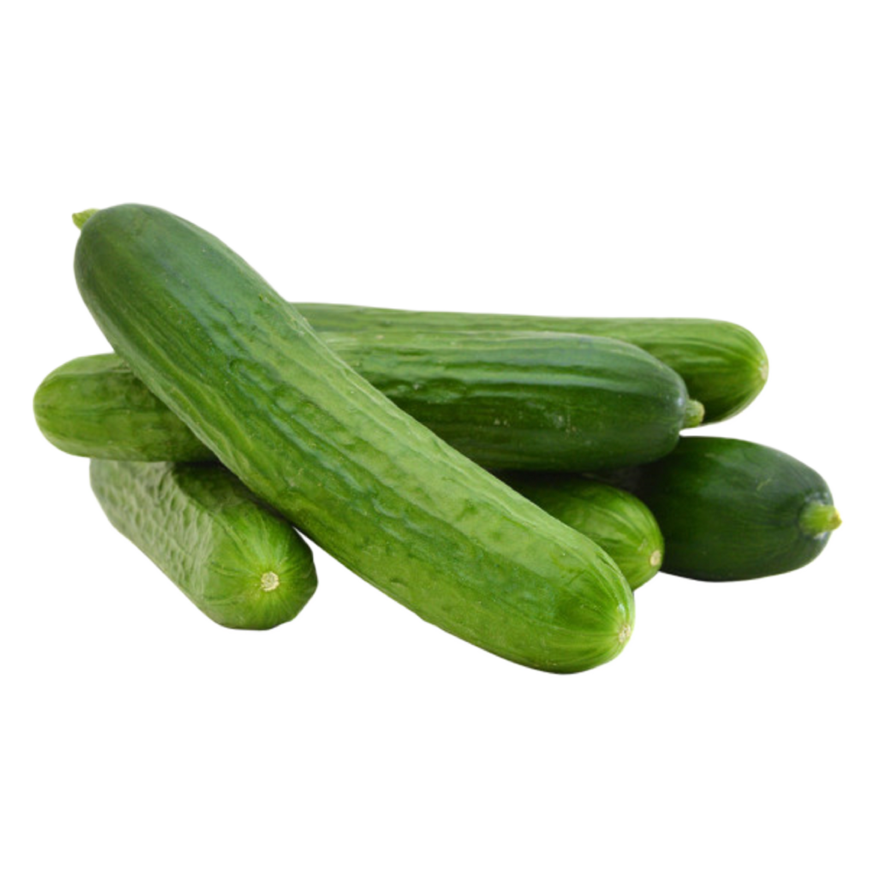 Organic Mini Seedless Cucumbers - 1lb