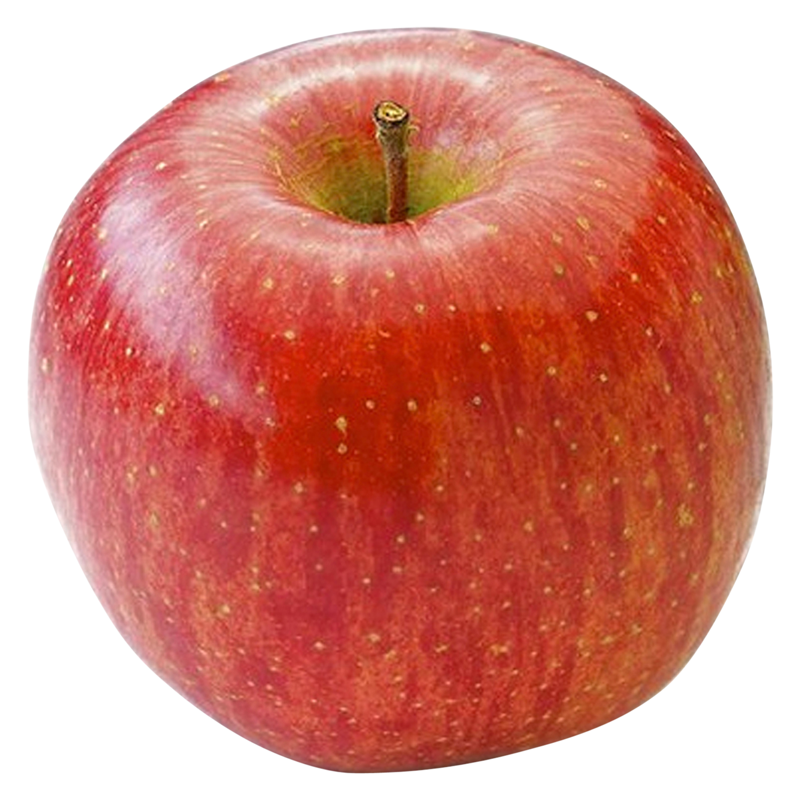 Organic Large Fuji Apple - 1ct